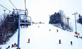 Earl Bales Ski и Snowboard Centre в North York