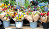 родолжает свой 13-й весенне-летний сезон праздник цветов Toronto Flower Market...