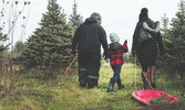 Elliott Tree Farm, существующая с 1850 года, предлагает посетителям не только елки, но и возможность сделать праздничные покупки в местном магазине. 