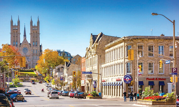 Знакомство с Royal City,  футбол - детям и цветы для вашего дома