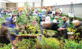 Spring Plant Sale 2026 в ботаническом саду Торонто...